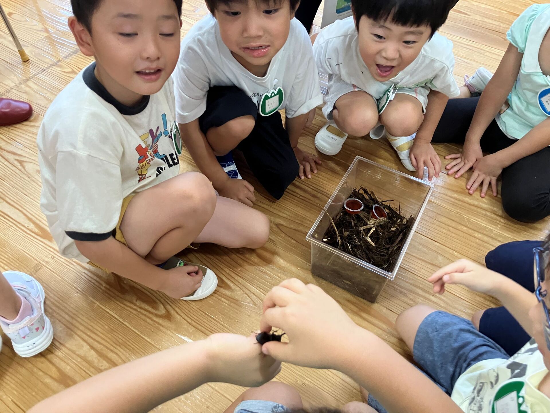 2026年昆虫（カブトムシ・クワガタ）贈呈式