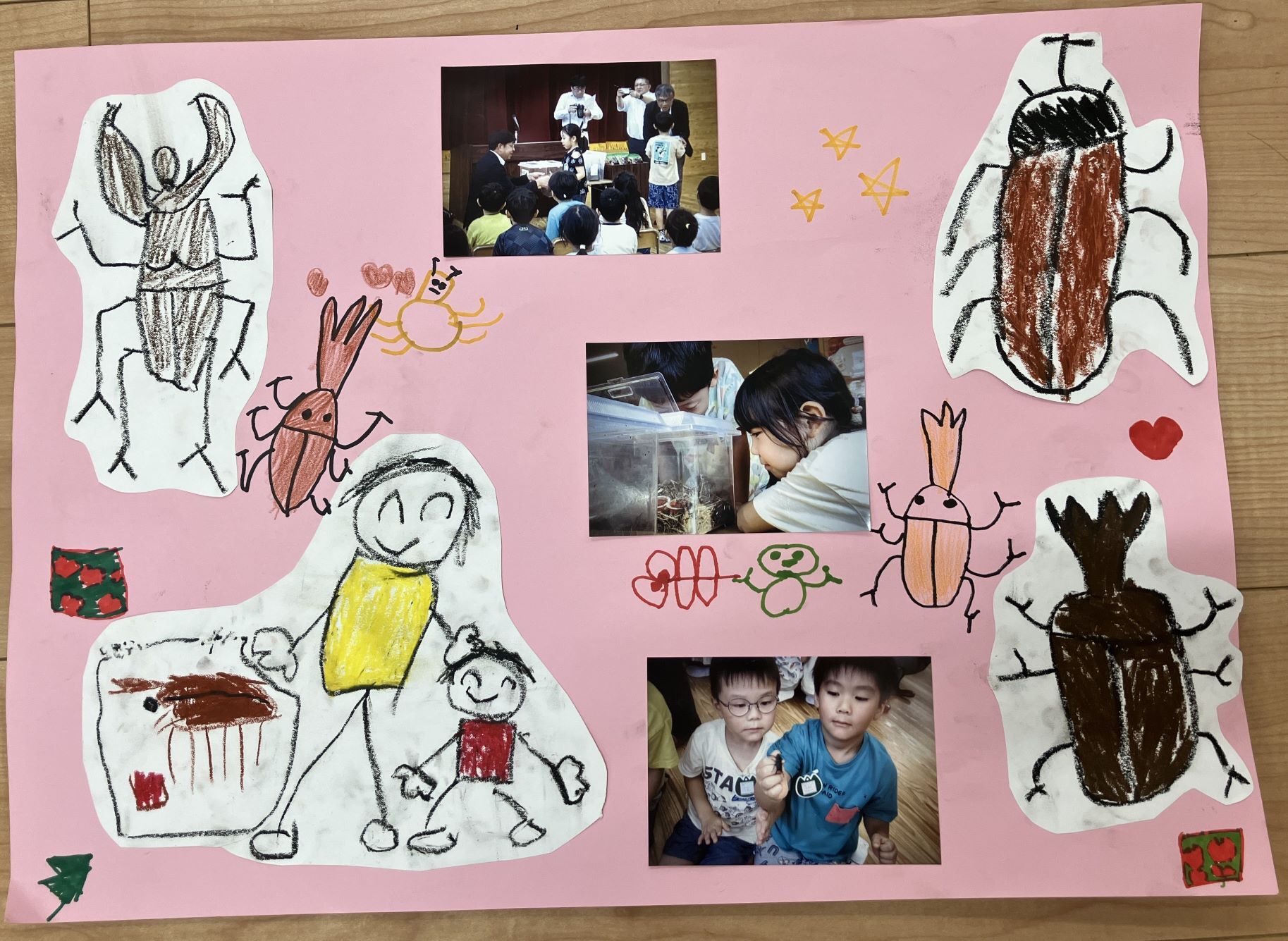 昆虫贈呈による幼稚園児の皆様から御礼をいただきました